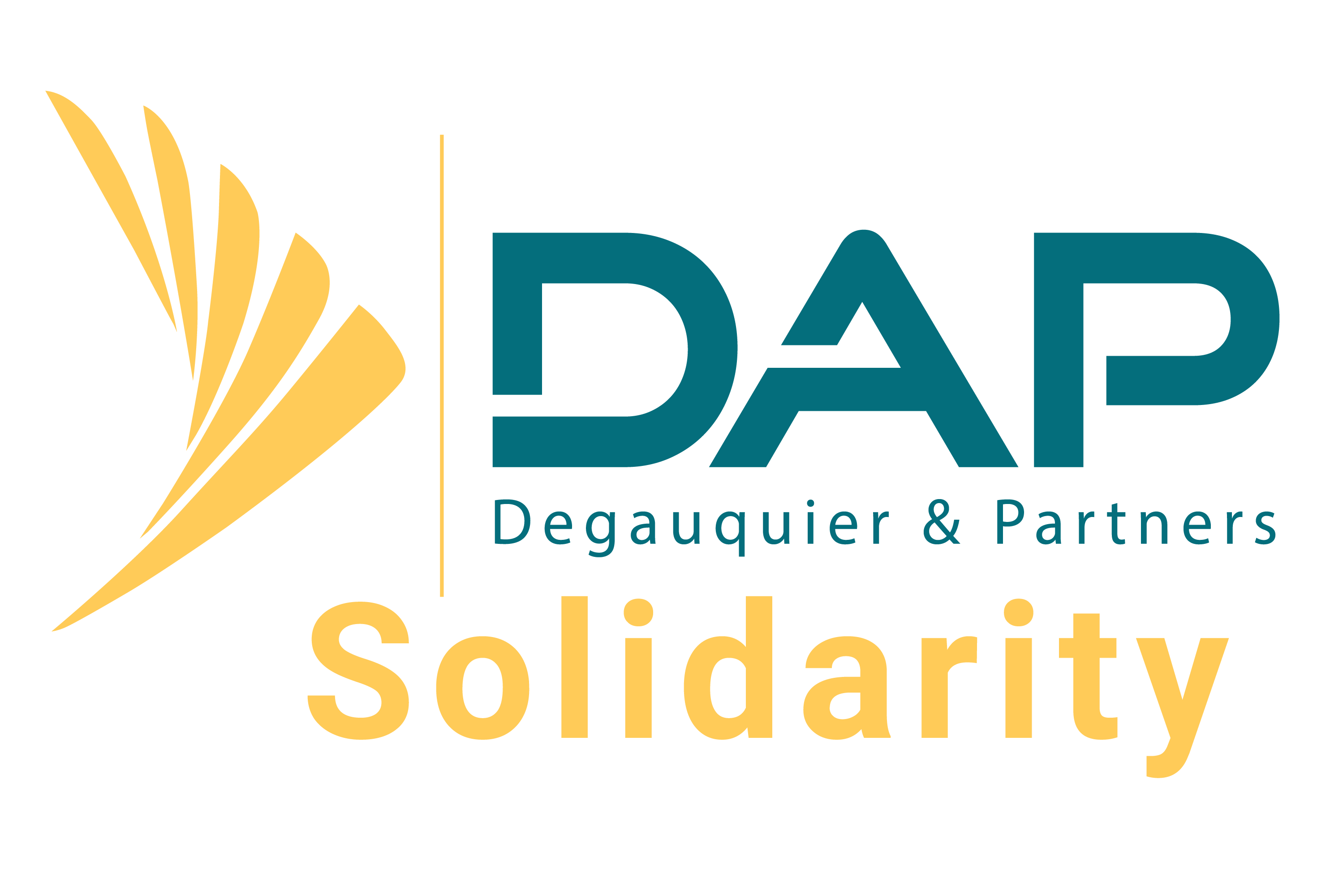 
Lien vers: https://www.dapsolidarity.be/
